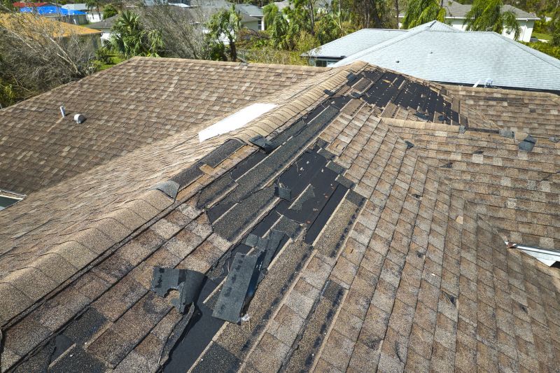 Roof Repair Service